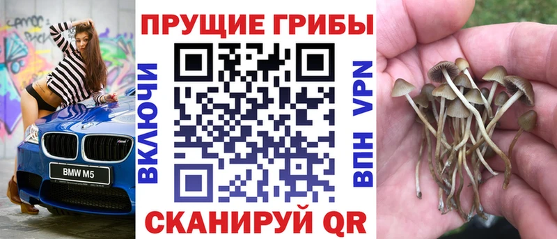 Галлюциногенные грибы ЛСД  Пушкино 